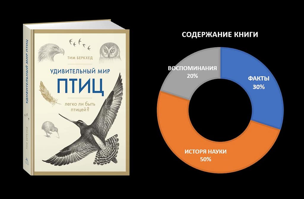 обложка мир птиц