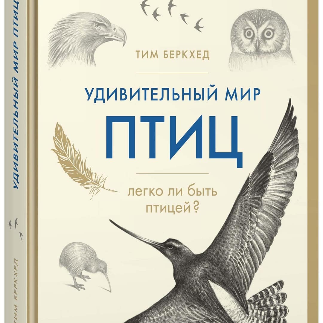 Удивительный мир птиц. Легко ли быть птицей? Тим Беркхед