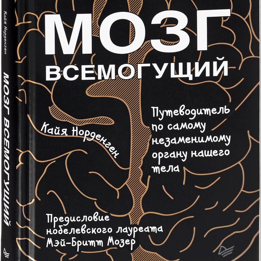 Мозг всемогущий. Путеводитель по самому незаменимому органу нашего тела. Кайя Норденген